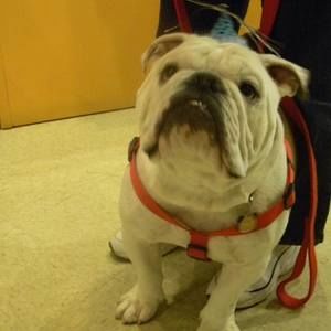 Meet your Posher, Jim